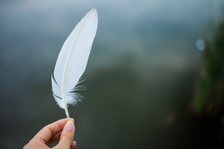 Close up woman hand holding white feather. Woman's hands with feather close-upの写真素材