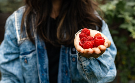 Close Up Of female Holding Freshly Picked Raspberries outdoors.の写真素材