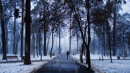 Rear view of lonely man walking in cold foggy and snowy forest in Ukraine.