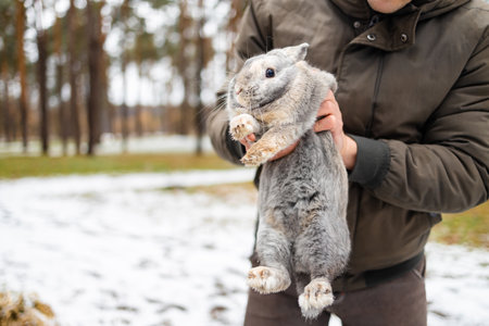 A cute little gray rabbit in a man's hand, on a background of snow.