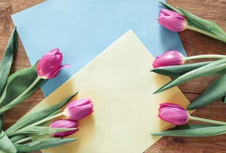 Spring mockup with pink blank paper list and pink tulip flowers on pink background top view....