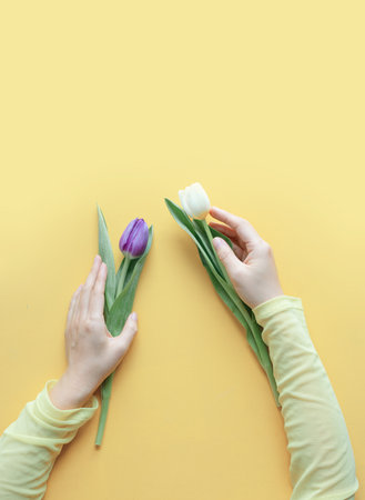 Female hands with fresh tulips. Woman hands hold spring tulips on yellow background.の写真素材