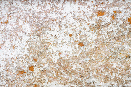 old wood door painted with white paint from age cracks.