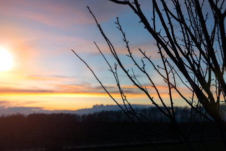 an open rural landscape closing with the sunset, with clouds in the blue sky in the evening.の写真素材