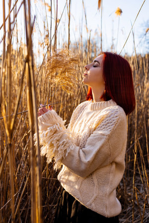 Elegant young woman in a white woolen sweater poses in the autumn park on the background of reeds. Autumn fashion and beauty.の写真素材