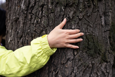 Human hand touching tree in rainforest, love nature conceptの写真素材