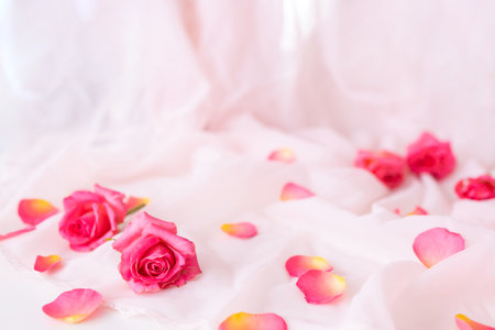 pink roses on soft silk. light pink roses in soft color and blur style for background.の写真素材