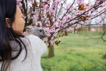 beautiful young asian woman holding cute bunny in blooming cherry blossoms garden.の写真素材
