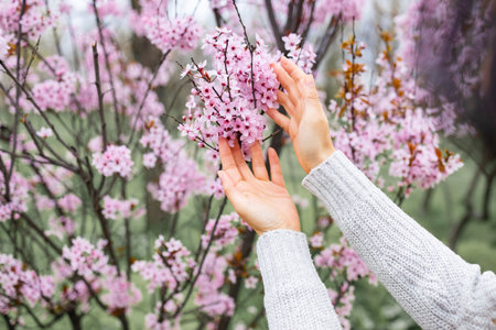 The girl's hands are holding a blossoming branch with loose delicate pink flowers. Concept spring...
