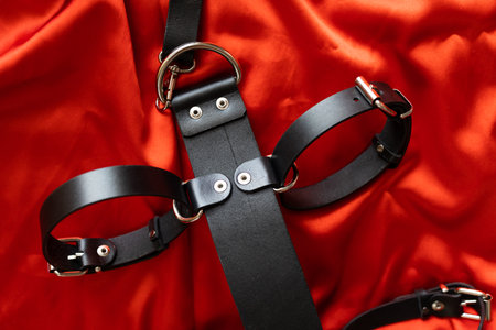 leather accessories for adult sexual games on red silk. Toys for BDSM, spanking devices. spanking and punishment concept.の写真素材