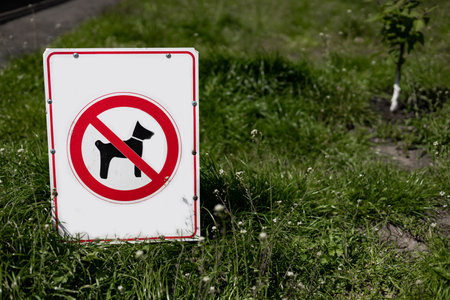No pets allowed sign in the park with green grass.の写真素材