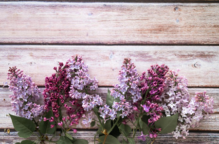 spring flowers. Lilac flowers on a wooden background. Top view, flat lay, copy space