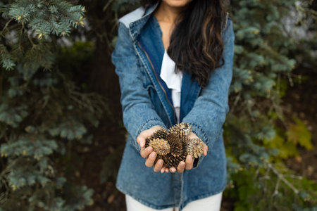 A girl holds fir cones in his hands in forest. Close-up