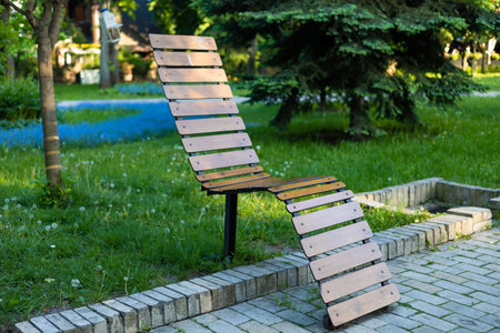Modern wooden benches standing on the sides of the paved paths of the city park on a rainy day.