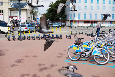 bike rent urban self access service bicycle in city street with app phoneの写真素材