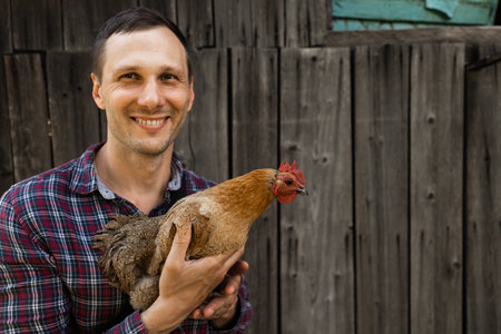 The farmer hugs a chicken. pleasant man is hugging a cock. close up shot emotions.の写真素材