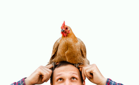 The farmer hugs a chicken. pleasant man is hugging a cock. close up on white background.の写真素材