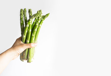 Green asparagus in the hands of a girl. Bunch of ripe fresh asparagus. Healthy organic food. Cooking at home. Natural vitamins, raw ingredient for eating. Handpicked bio asparagusの写真素材