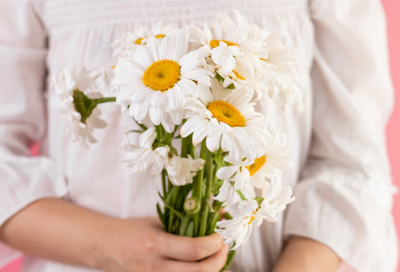 close up of woman holding bouquet of chamomile flowersの写真素材