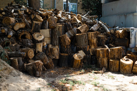 Pile of firewood in the yard of a country house.