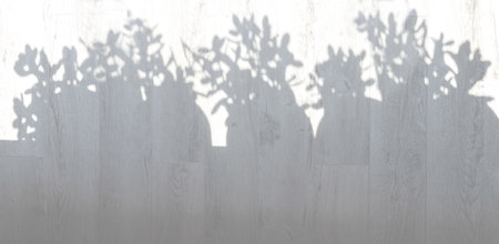 Shadows of House plants on floor on sunny day.