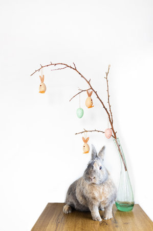 Rabbit and easter eggs hanging on tree branch on white backgroundの写真素材
