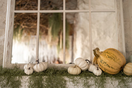 Autumn still life with pumpkins and green grass on the windowsillの写真素材