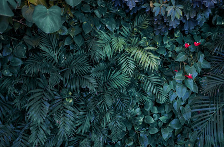 Close-up of a group of green leaves, providing a textured and abstract nature background. Rich foliage textures, exotic greenery, and botanical patterns.の写真素材