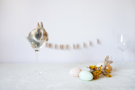 Easter bunny and eggs on a white background. Selective focus.の写真素材