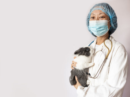 Asian female veterinarian holding a rabbit on white background with copy space.の写真素材