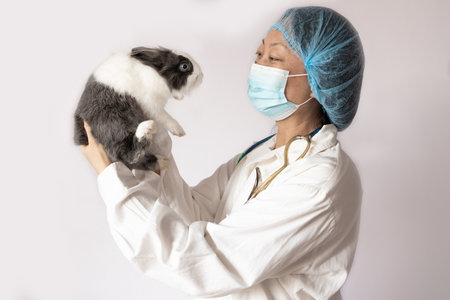 Veterinarian with a rabbit on a gray background. Pet careの写真素材