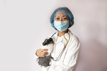 Female veterinarian conducting routine examination of domestic ornamental fluffy rabbit in the office of a modern veterinary clinic. Treatment and vaccination of pets.の写真素材