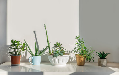 Interior of modern living room with white walls, concrete floor, green plants in potsの写真素材