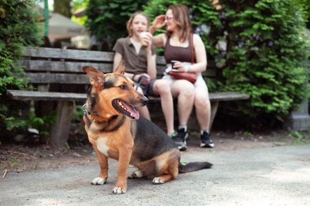 Park, mother and boy with dog, smile and sunshine with weekend break. Family, single parent and mama with son, animal and pet with fun, playing and countryside with summer.の写真素材