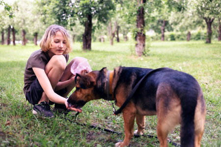 Teen boy playing with his dog in a parkの写真素材