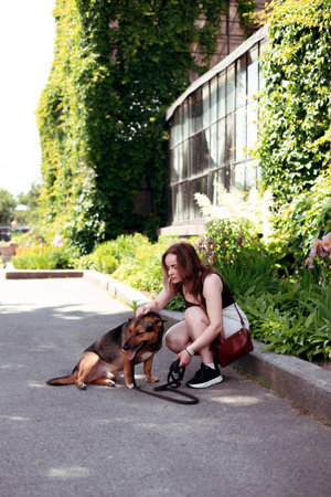 Woman playing with her dog. young girl walking with her cute dog in the summer park in sunny day. Human animal friendship.の写真素材