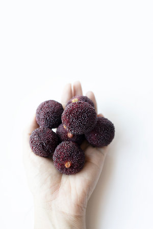 Sweet and sour red fruit yangmei in hand. waxberry isolated on white background.の写真素材