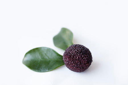 waxberry isolated on white backgroundの写真素材