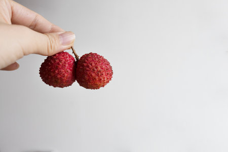 Lychee in hand on a white background with copy space.の写真素材