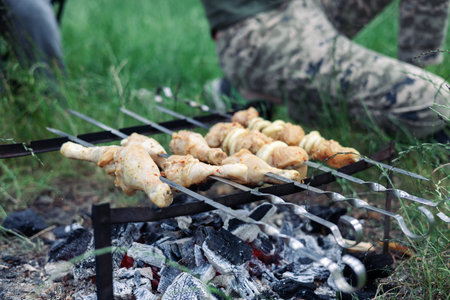 Grilled chicken on skewers on the fire in the forest.の写真素材