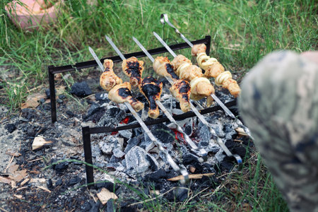 Cooking shish kebab on the coals in natureの写真素材