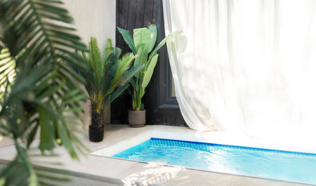 Tropical garden and swimming pool in modern luxury vacation house. Desert architecture design...