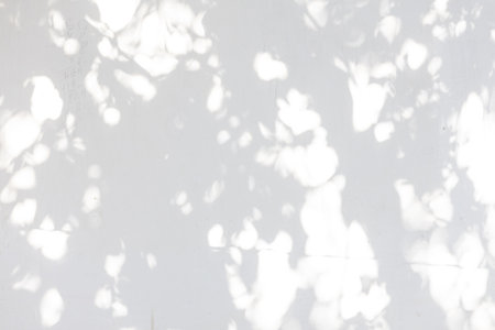 Tree shadow and light of leaf branch background. Nature leaves tropical jungle tree branch dark...