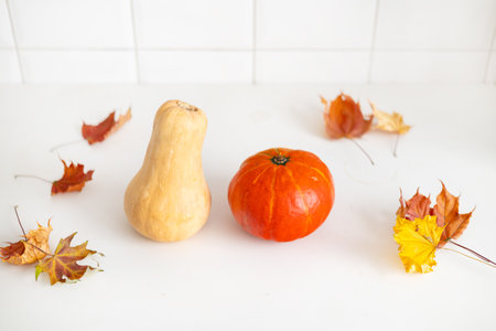 Autumn still life with pumpkins and leaves on a white background