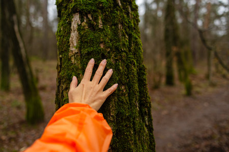 Girl hand touches a tree with moss in the wild forest. Forest ecology. Wild nature, wild life. Traveler in green forest. Conservation, ecology, environment concept.の写真素材