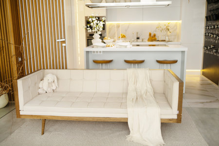 Living room interior in bright tones with white leather sofa which is behind the kitchen.の写真素材