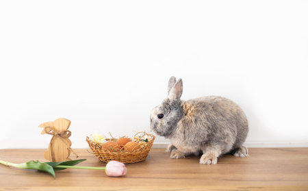 Lovely bunny easter rabbit relaxing in living room. Fluffy rabbit with easter eggs. Easter...