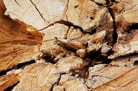 wood texture