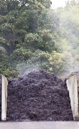 Steaming pile of compost