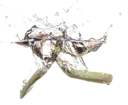 Cucumber slice falling in the waterの写真素材